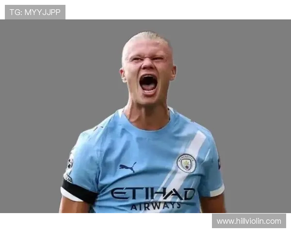 哈兰德利兹联血统 哈兰德利兹联血统