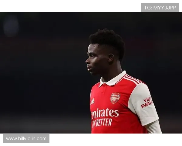 萨卡为何几乎没有低谷：稳定性解析